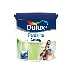 Dulux Pentalite Ceiling